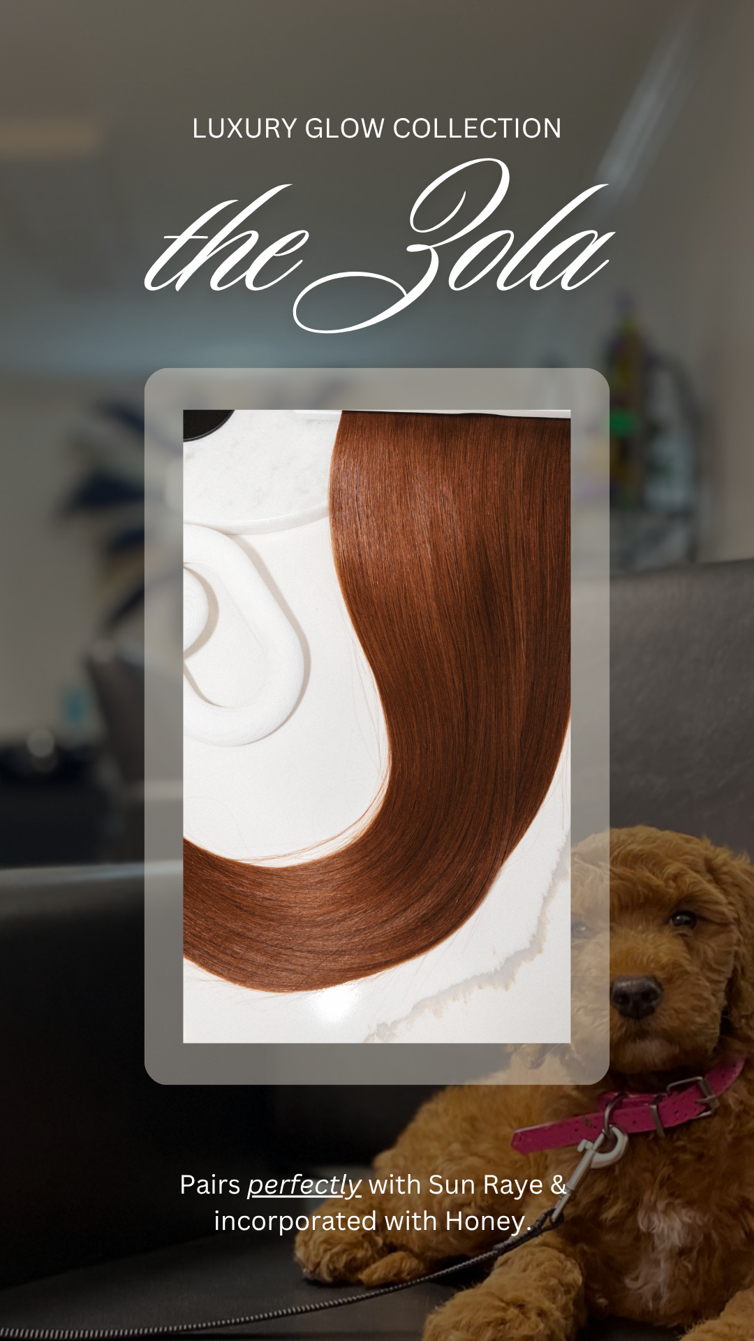 Luxury Hybrid Weft Collection