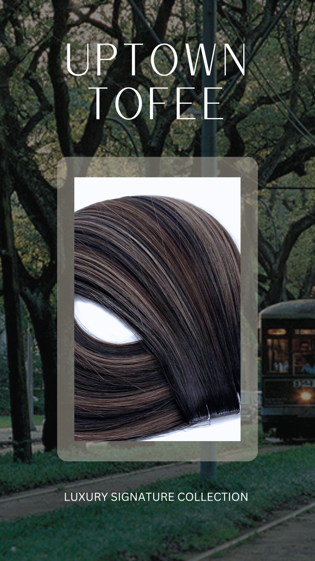 Luxury Signature Weft Collection